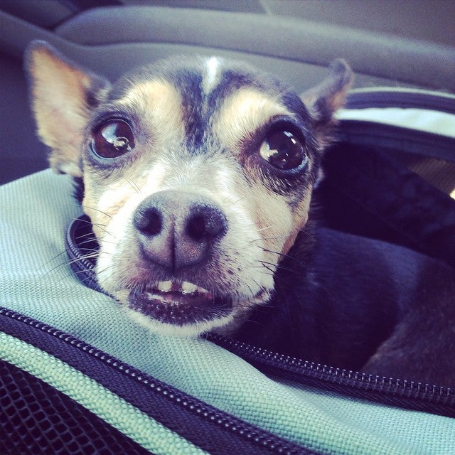 Hales Corners, WI Map & Directions MapQuest