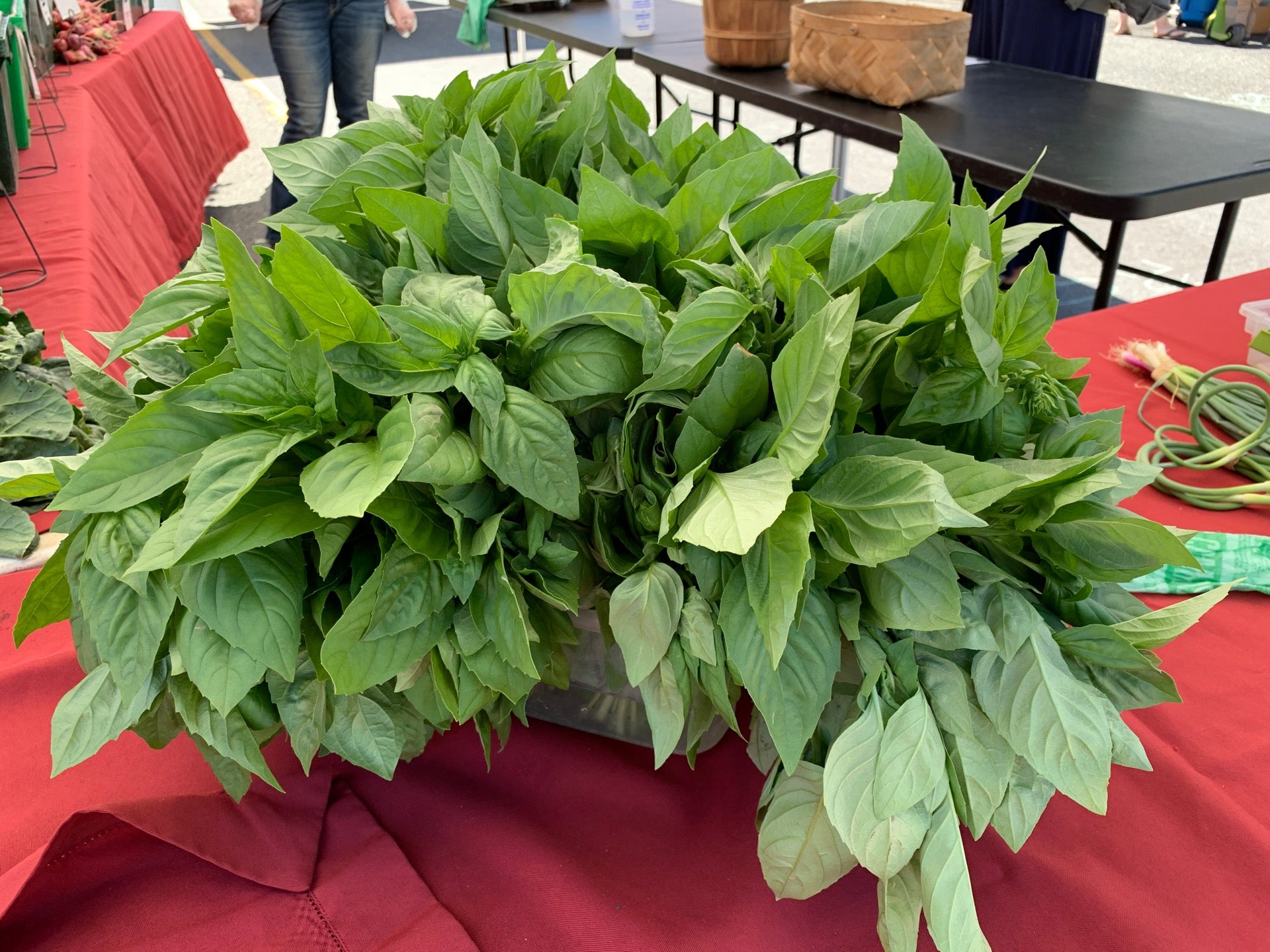 Kinderhook Farmer's Market, 2724 Co Rd 21, Kinderhook, NY, Food