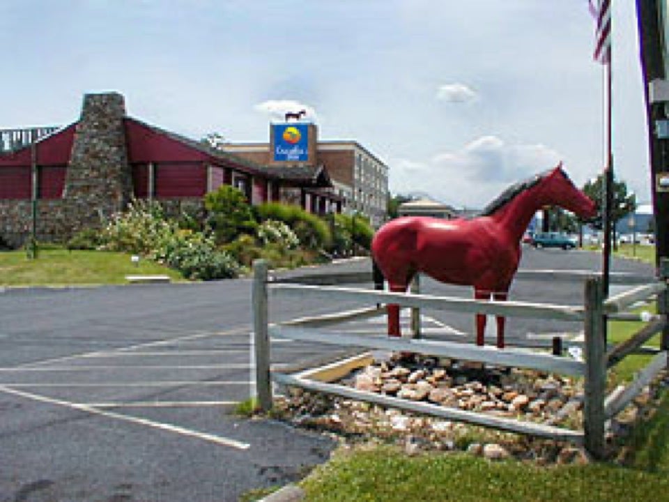 Comfort Inn Red Horse Frederick, 998 W Patrick St, Frederick, Maryland