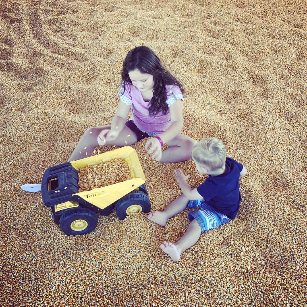 Holland Farms Pumpkin Patch & Sunflower Field, 2055 Homer Holland Rd