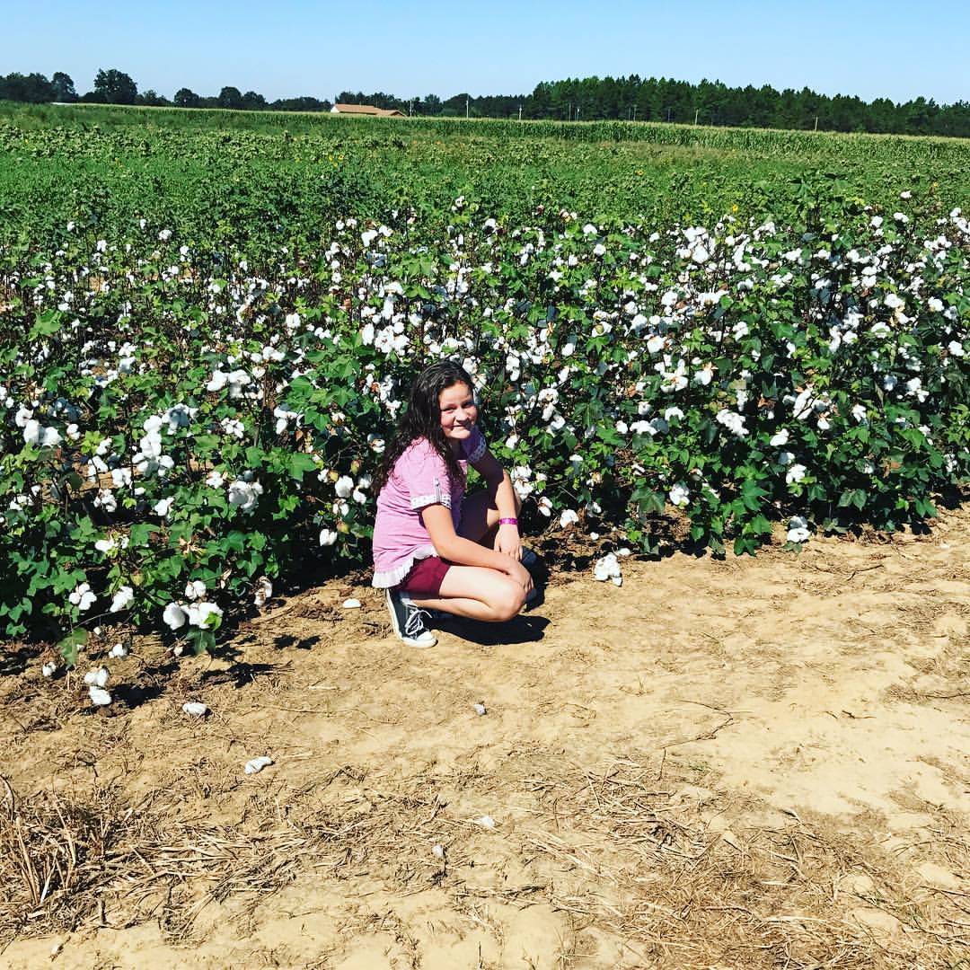 Holland Farms Pumpkin Patch & Sunflower Field, 2055 Homer Holland Rd