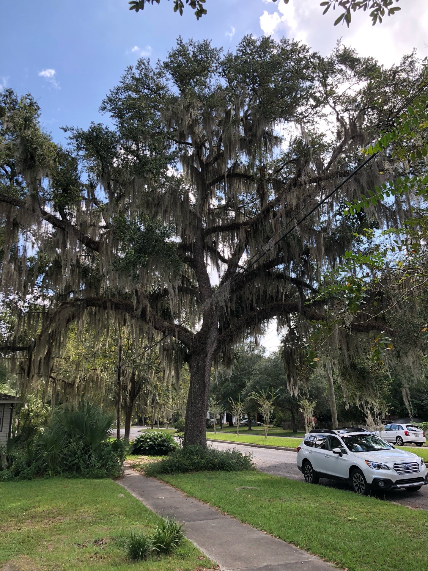 The Duck Pond, NE Blvd, Gainesville, FL MapQuest