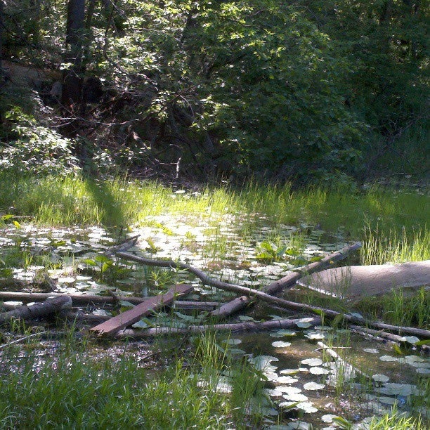 Field of Dreams, 46 Centennial Grove Rd, Essex, MA MapQuest