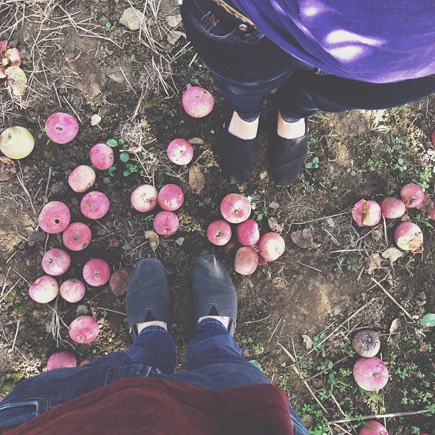 Palmer Town, MA Map & Directions MapQuest