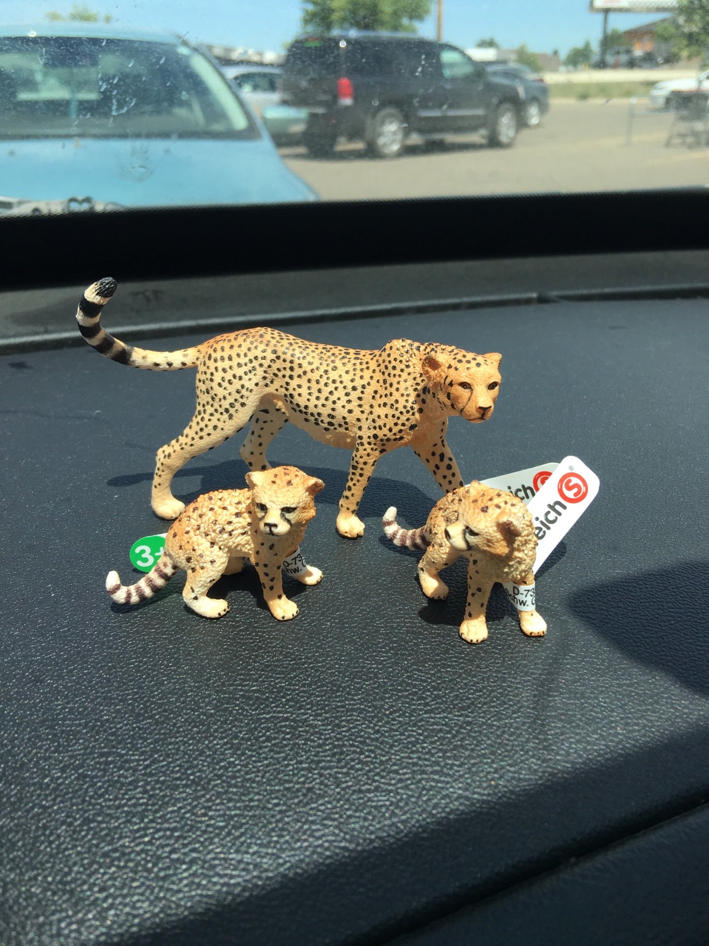 Runnings, 2003 3rd Ave W, Dickinson, ND, Hardware Stores MapQuest