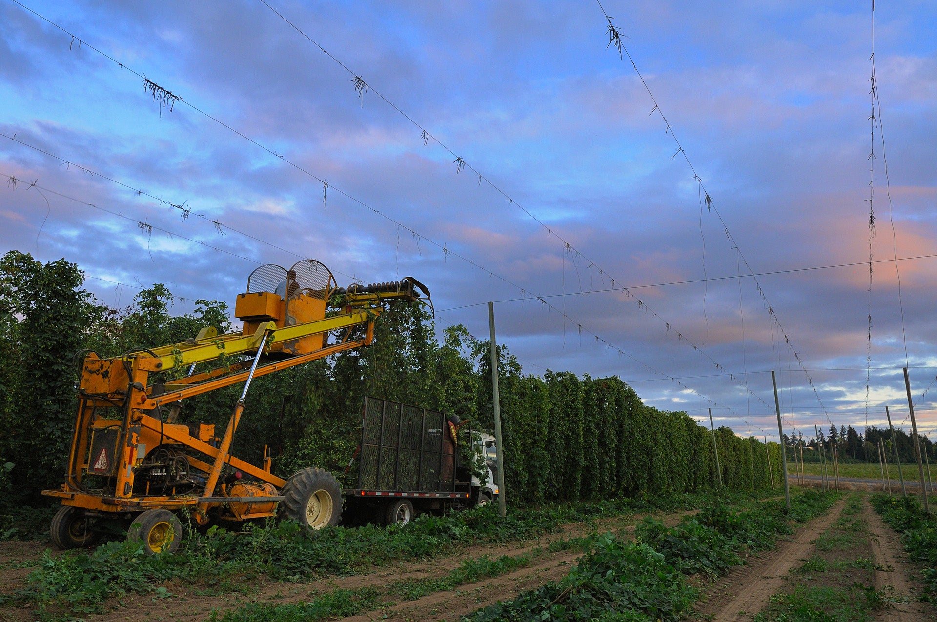 Sodbuster Farms, 9815 Wheatland Rd N, Salem, OR - MapQuest