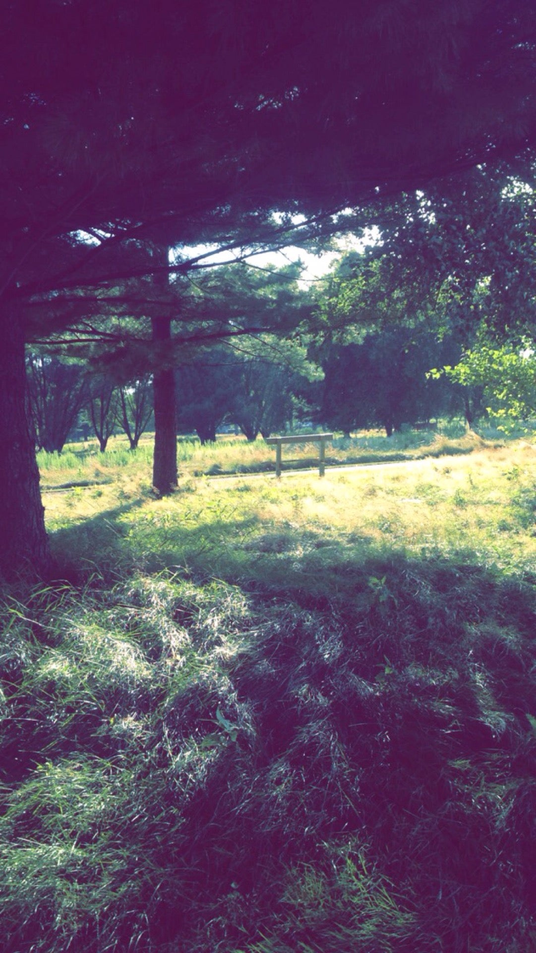 Lyndhurst, OH Map & Directions MapQuest