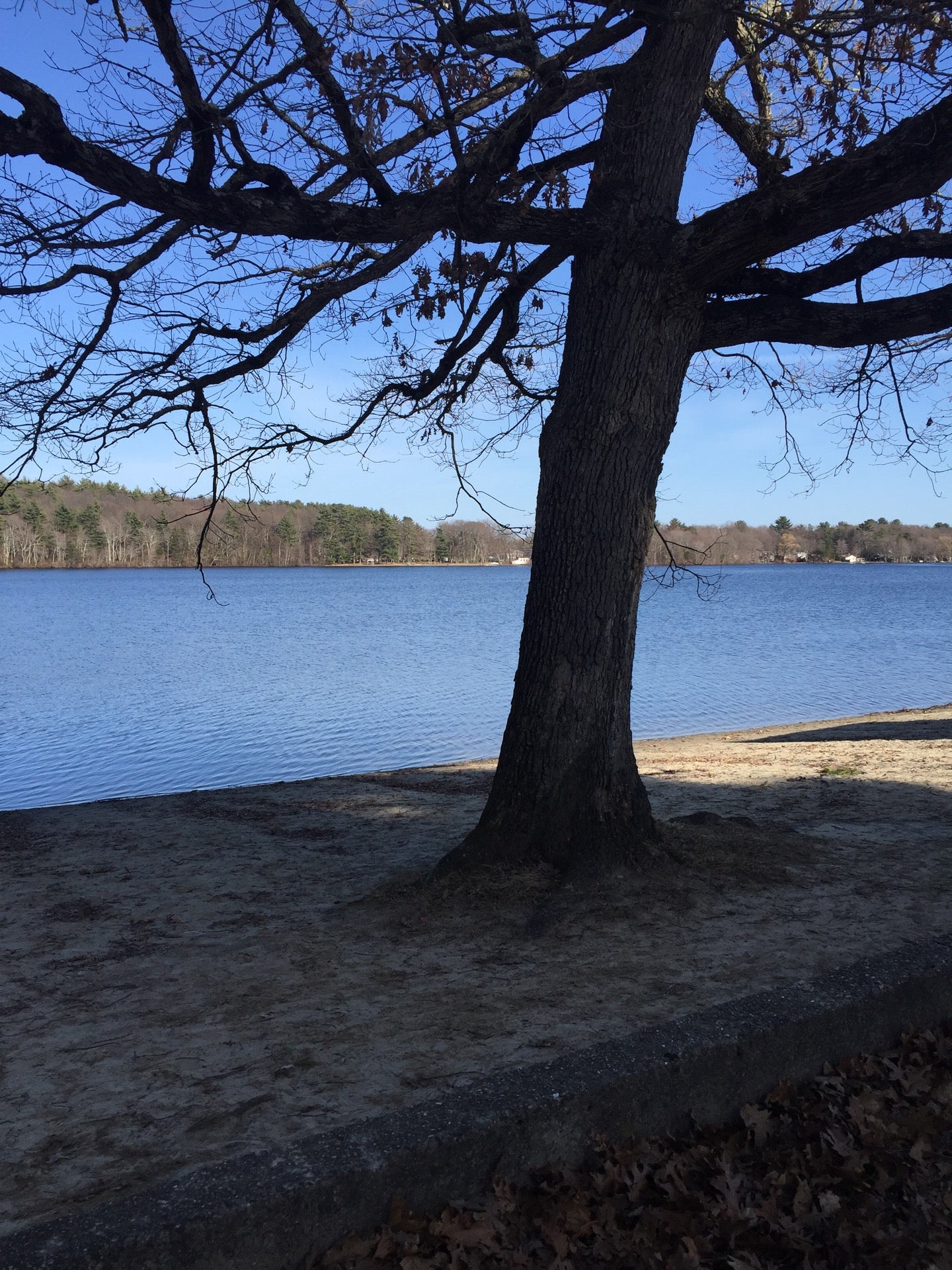 Lake Winthrop, Holliston, MA MapQuest