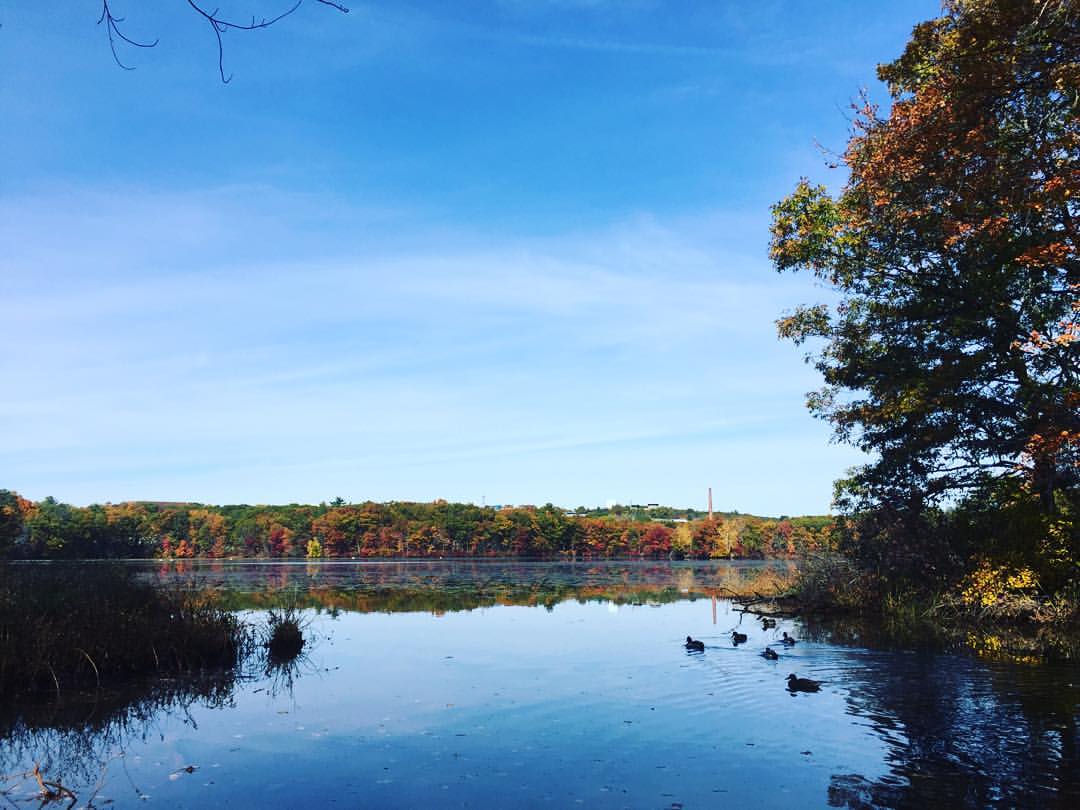 The Cove Park, Auburndale, Ma, 15 Edgewater Park, Newton, MA MapQuest