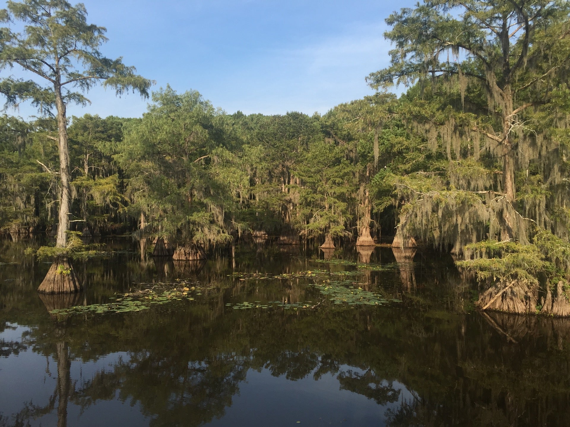 Caddo Lake State Park, 245 Park Road 2, Karnack, TX, Parks - MapQuest