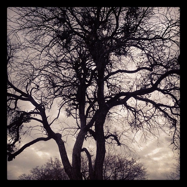 Huffines Park Pond Walk, Richardson, TX, Parks - MapQuest