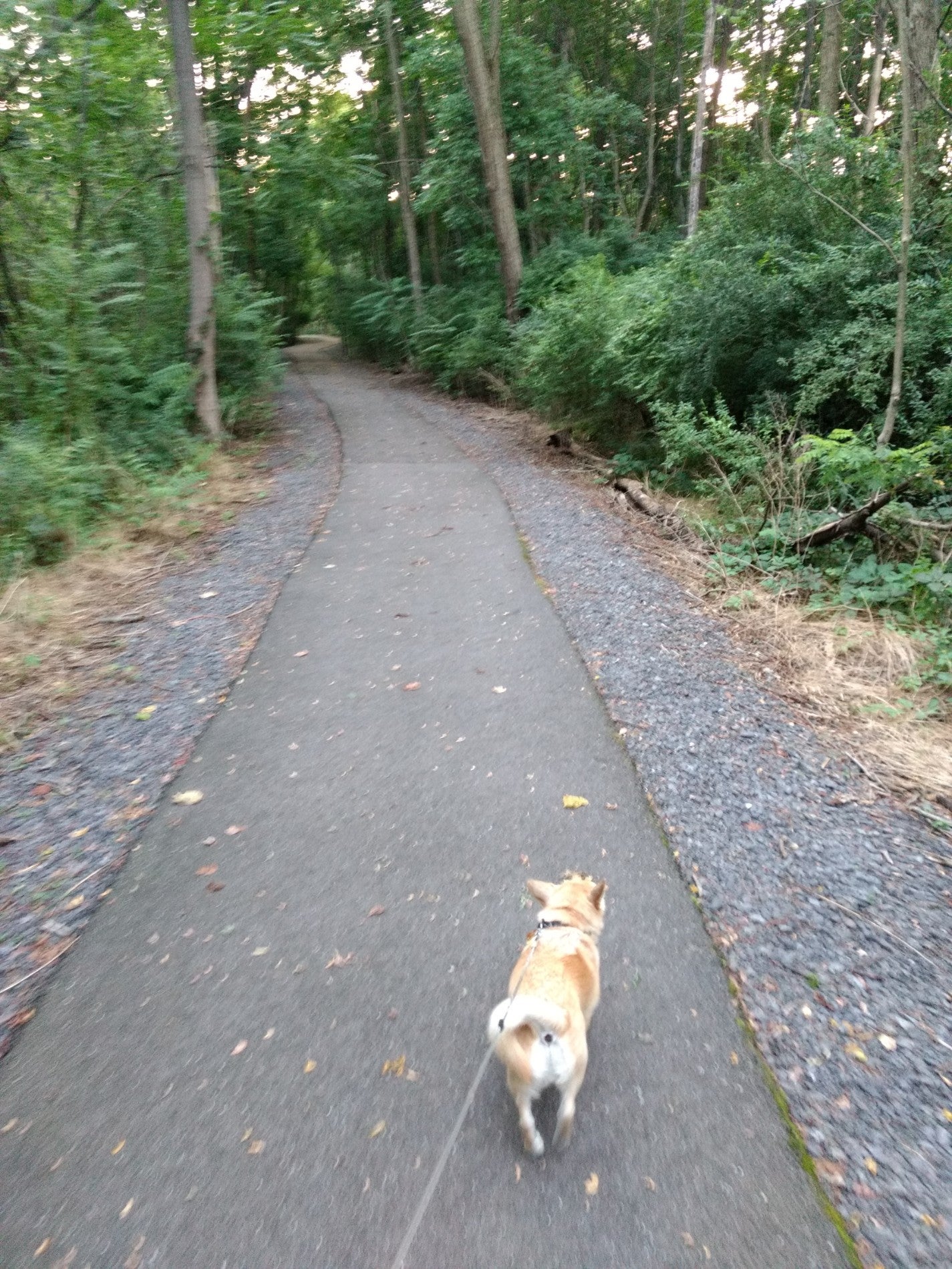 Nescopeck, PA Map & Directions MapQuest