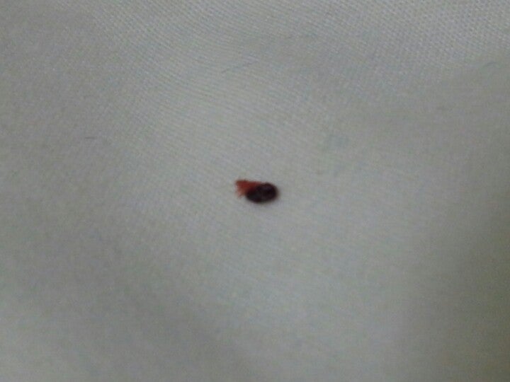 FeastervilleTrevose, PA Map & Directions MapQuest