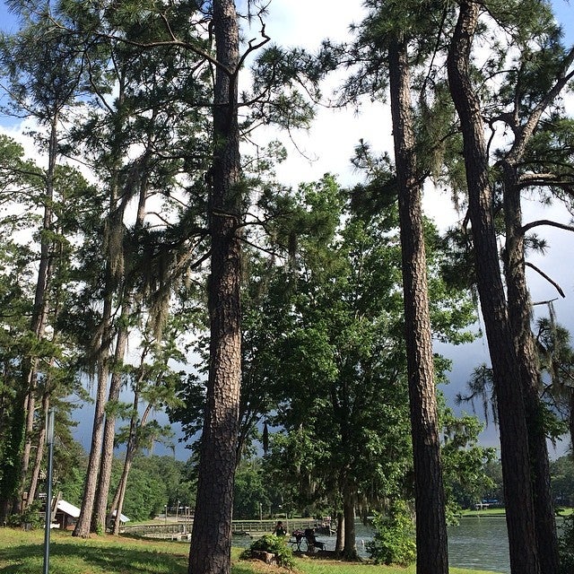 Mcallen Texas Zip Code Map Secretmuseum vrogue.co