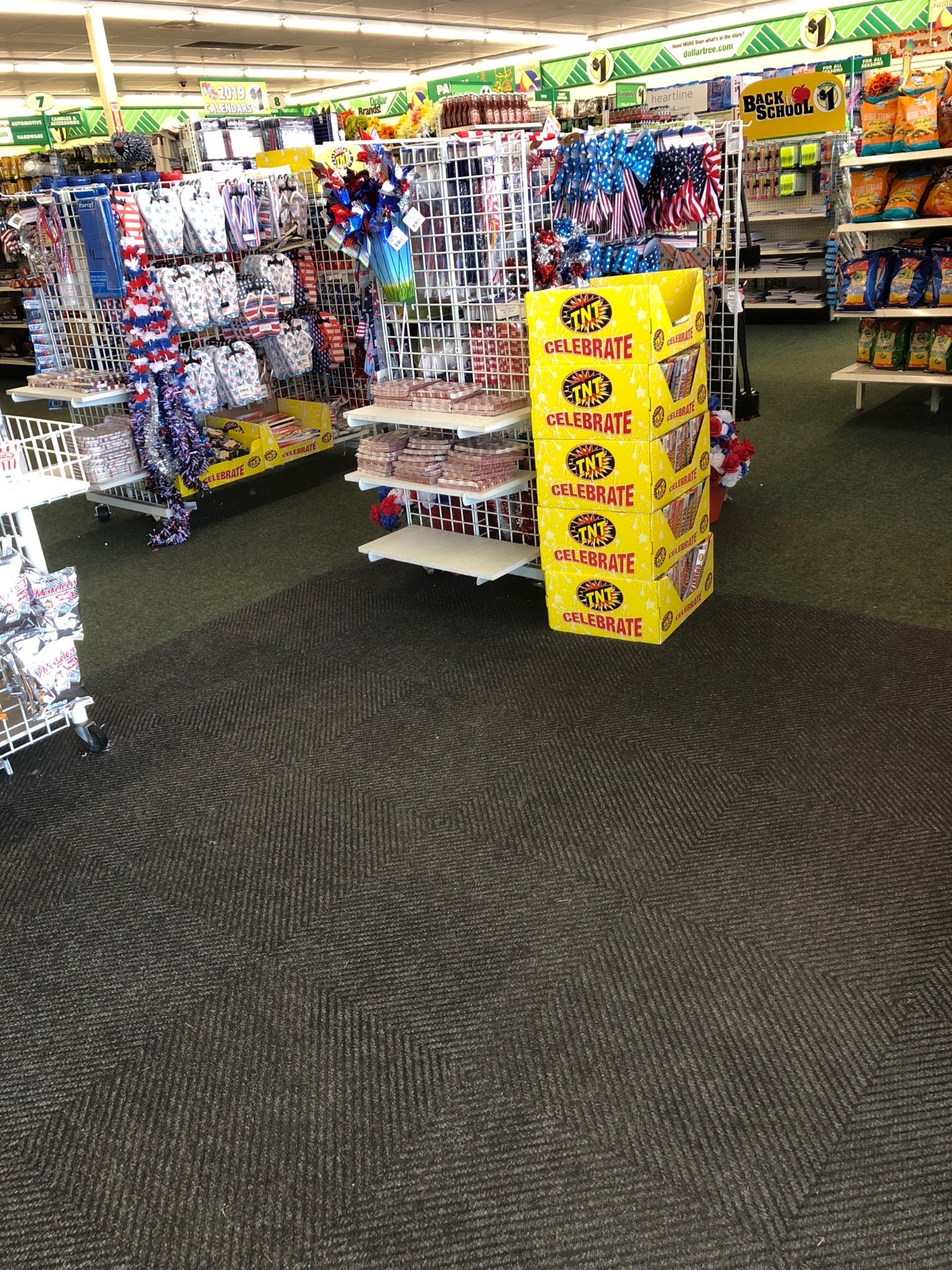 Dollar Tree, 603 Veterans Pkwy S, Moultrie, GA, Department Stores