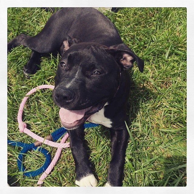 Pineville, NC Map & Directions MapQuest