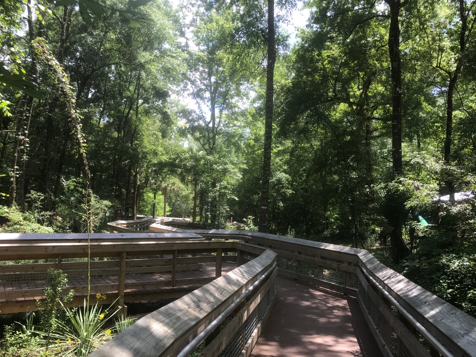 Youngstown, FL Map & Directions MapQuest