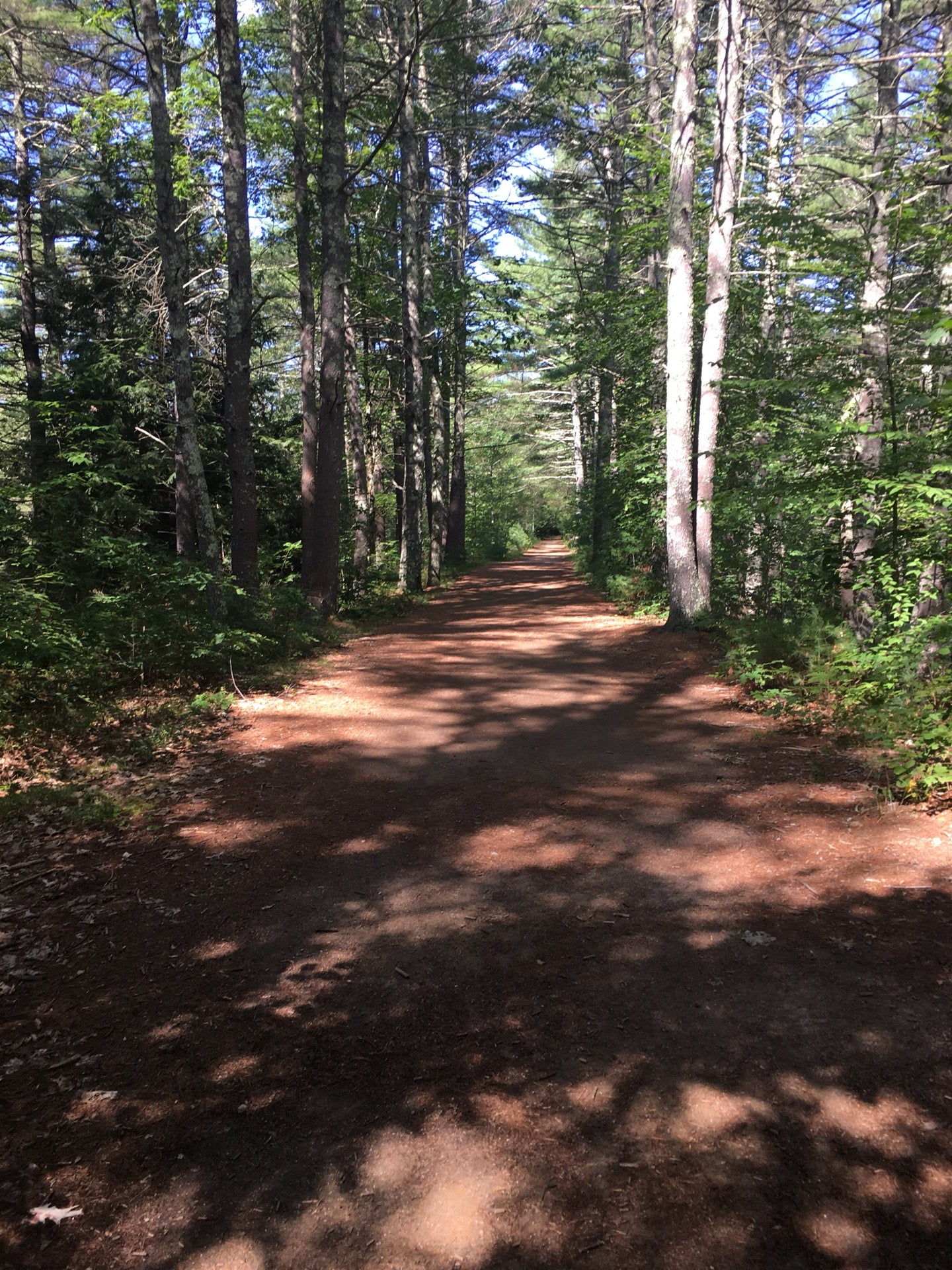Mass Central Rail Trail Coldbrook Rd. Crossing, Coldbrook Rd, Oakham