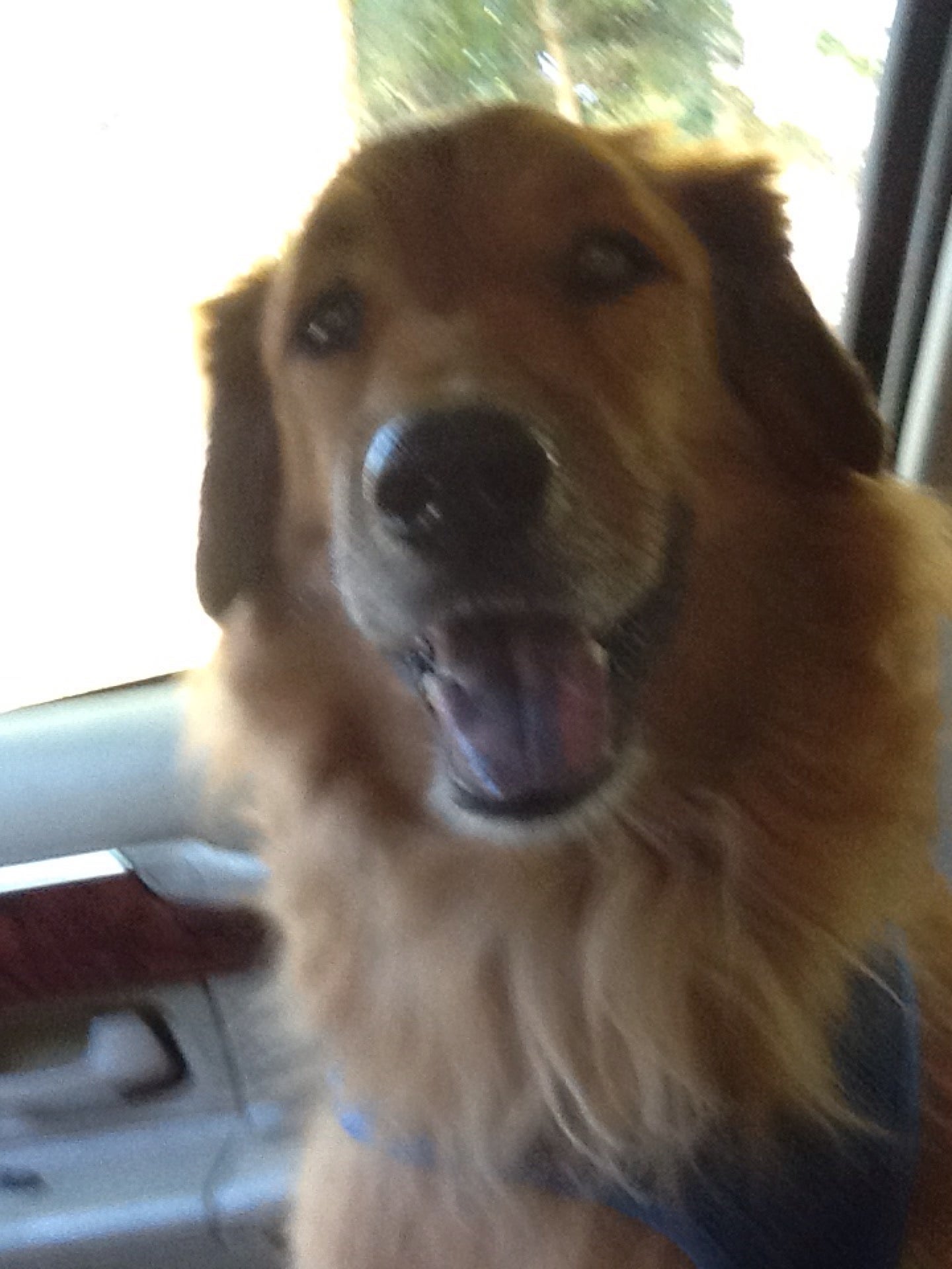 PET SUPERMARKET Updated August 2024 2649 E Gulf To Lake Hwy