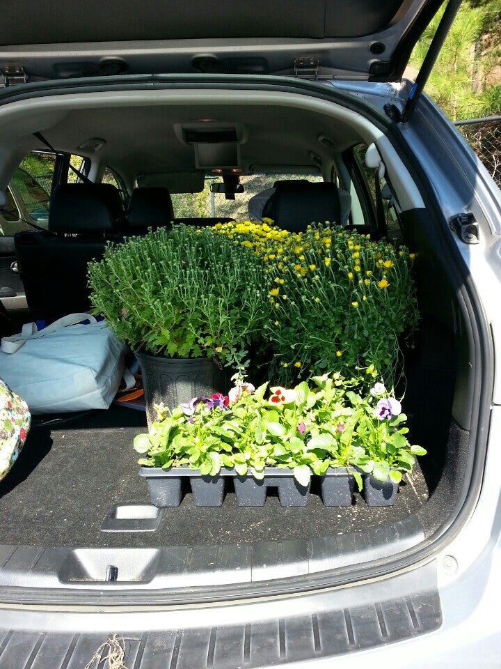 Grower's Outlet, 160 Cown Dr, Loganville, GA, Garden Centers MapQuest