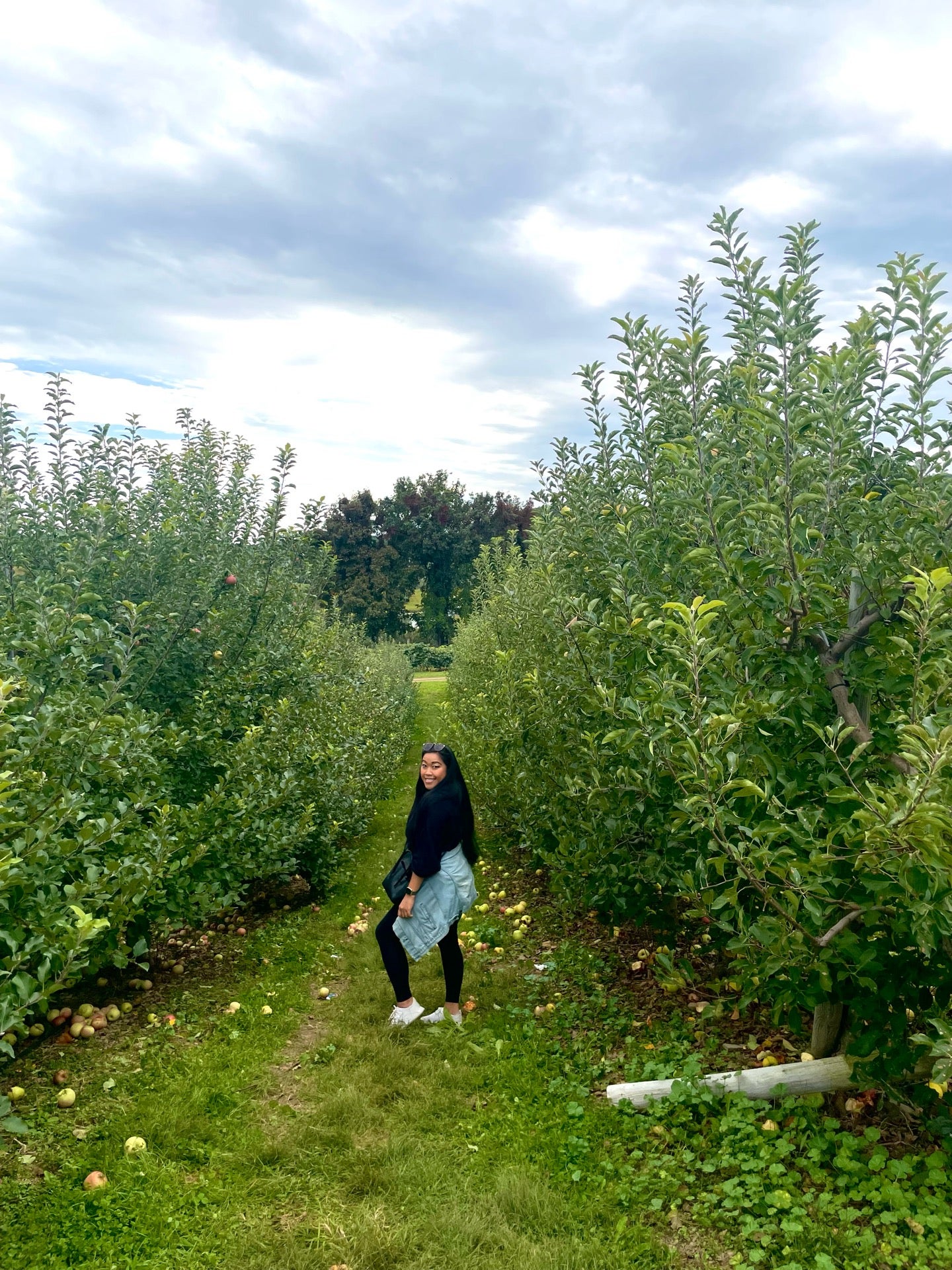 Weed Orchards & Winery, 43 Mount Zion Rd, Marlborough, Town of, NY