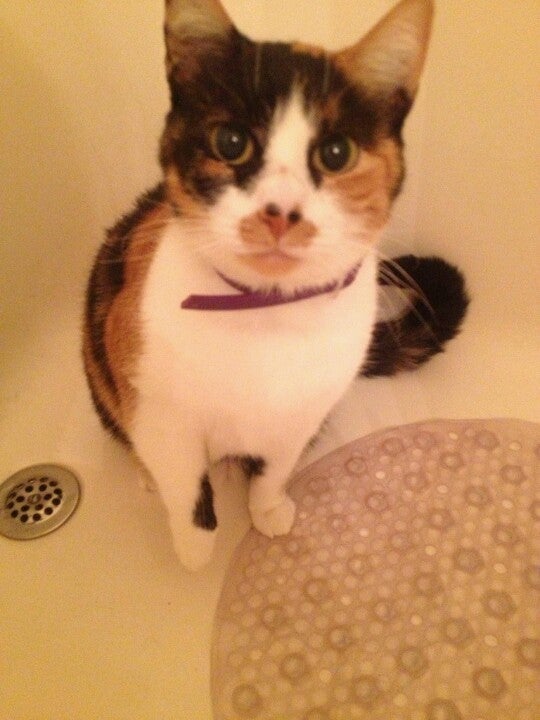 Strong Hospital Parking Garage, East Dr, Rochester, NY - MapQuest