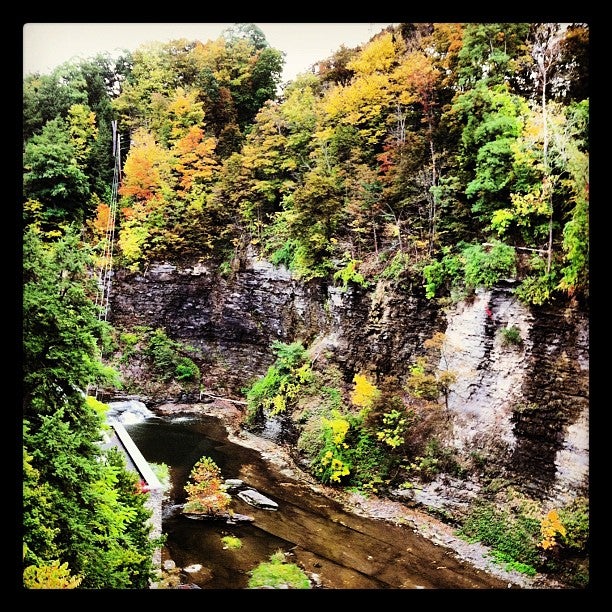 Fall Creek Suspension Bridge, Fall Creek Dr, Ithaca, NY, Trail