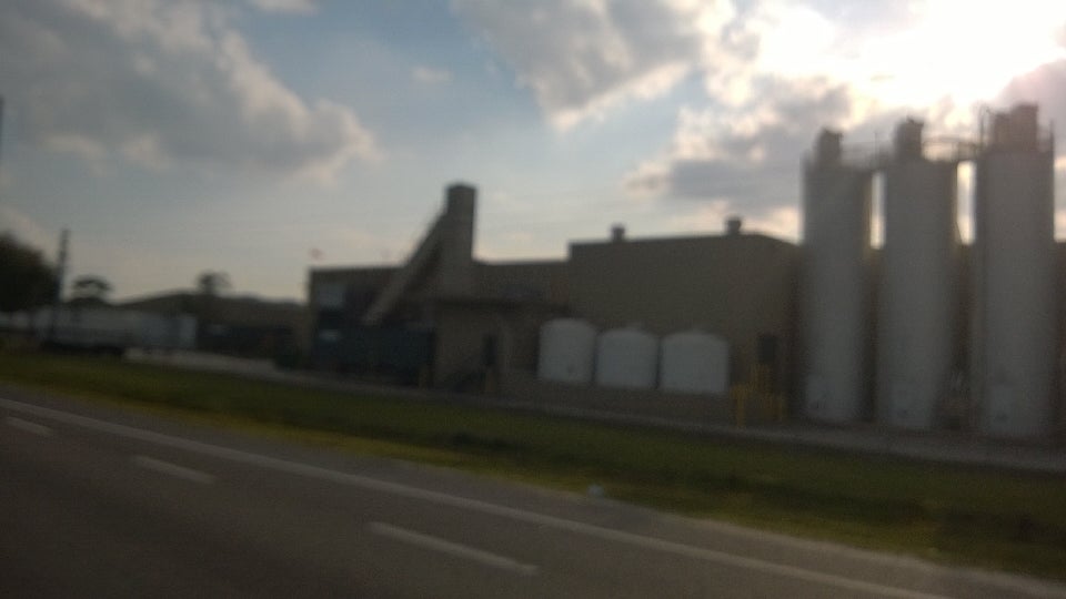 Flowers Bakery Bradenton Florida Best Flower Site