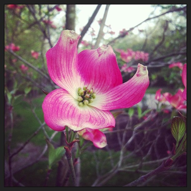 Walton Hills, OH Map & Directions MapQuest