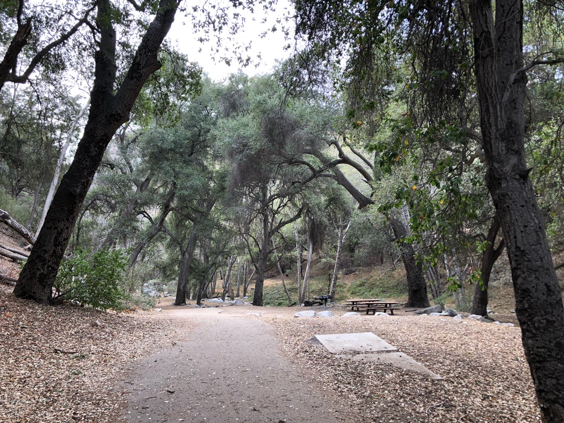 Switzer Canyon Falls Trailhead, Switzer PG, Mt Wilson, CA, Outdoor