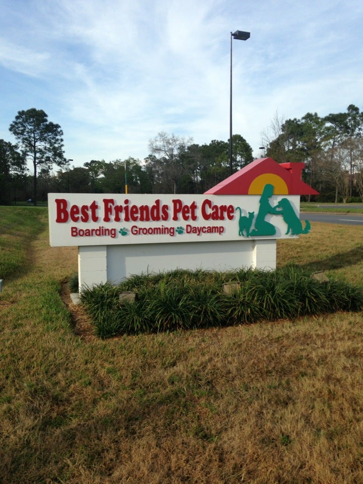 Doggy Cay Camp - Best Friends Pet Care - Lake Buena Vista, FL