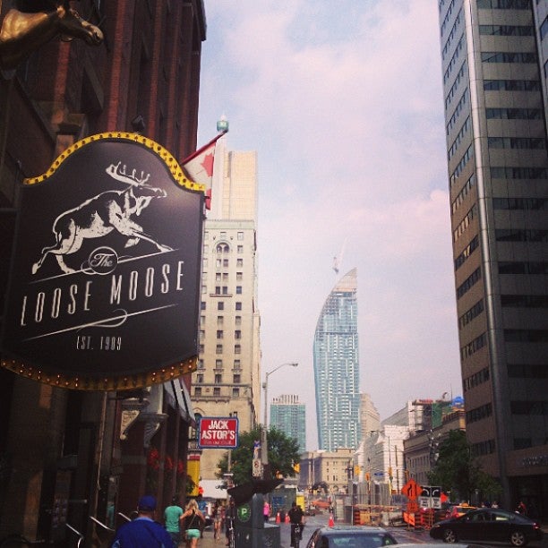 The Loose Moose Tap & Grill