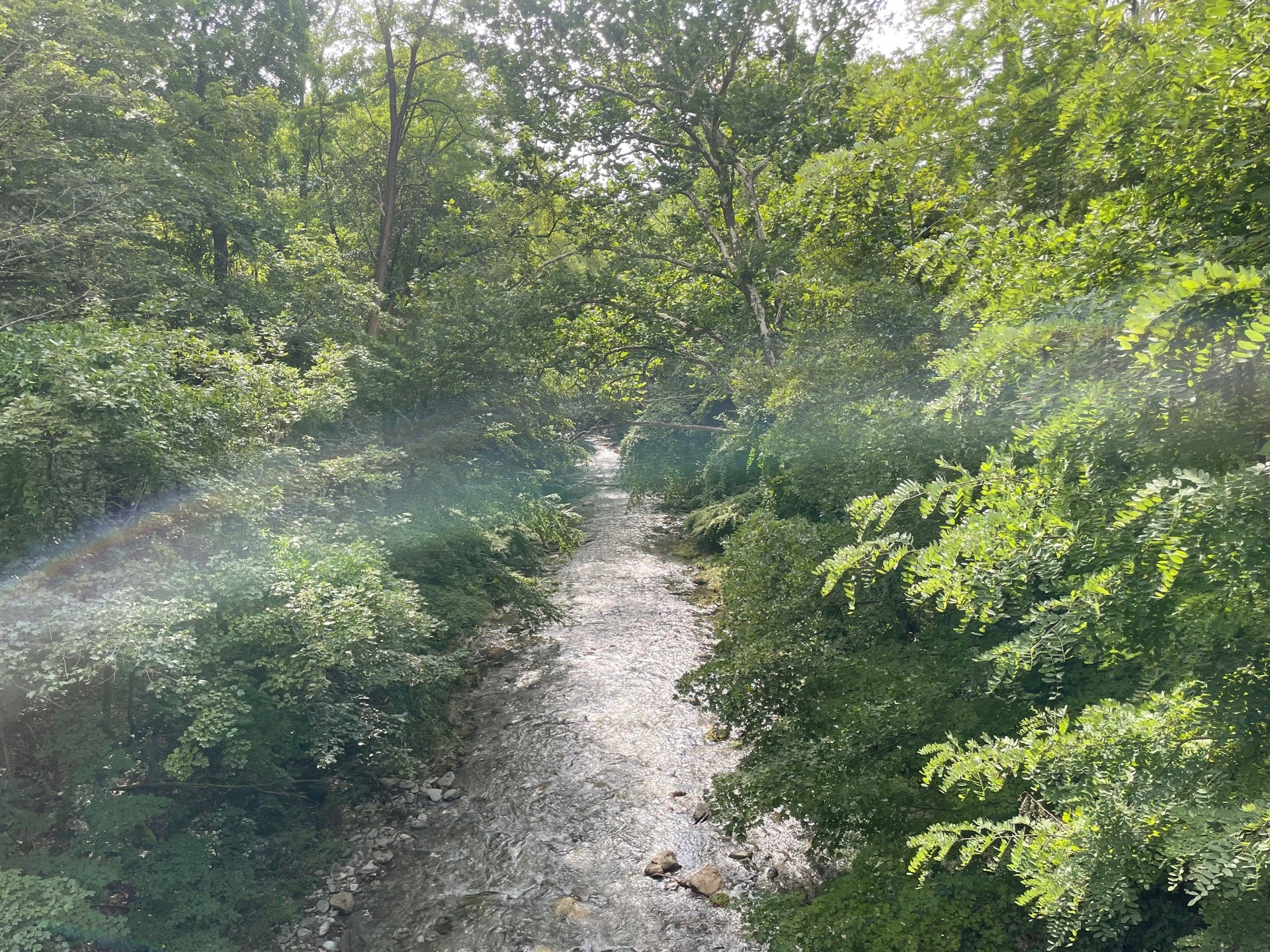 Harlem Valley Rail Trail Taconic - 68571 UtnfGsEsDgpDm2tDXetzuDA5qC3XDuseLemfzv6y0p4 