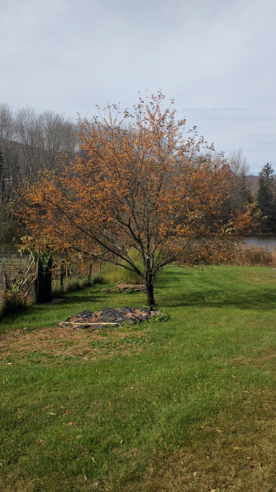 Bovina Center, NY Map & Directions MapQuest