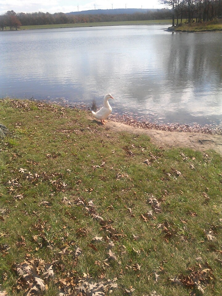 Broadford Lake Playground, Oakland, MD, Playgrounds MapQuest