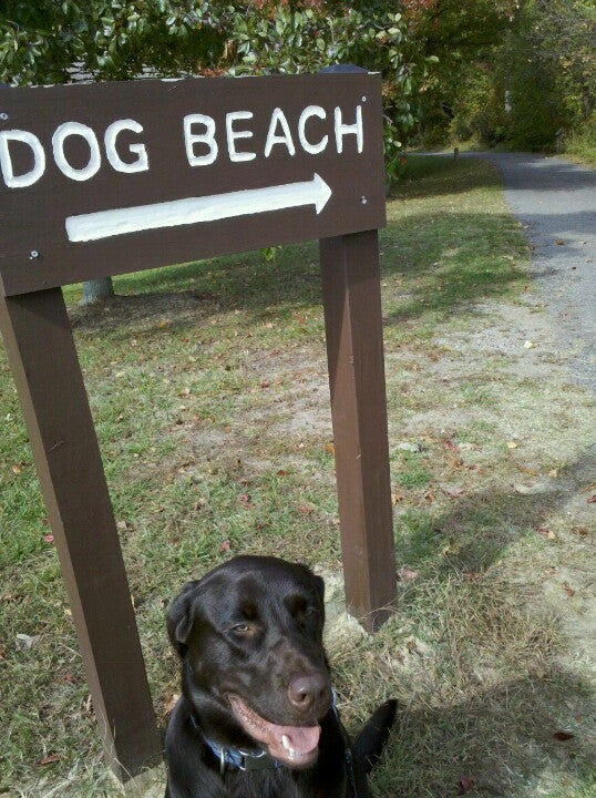 Downs Park and Dog Beach, 8311 John Downs Loop, Pasadena, MD, Parks ...