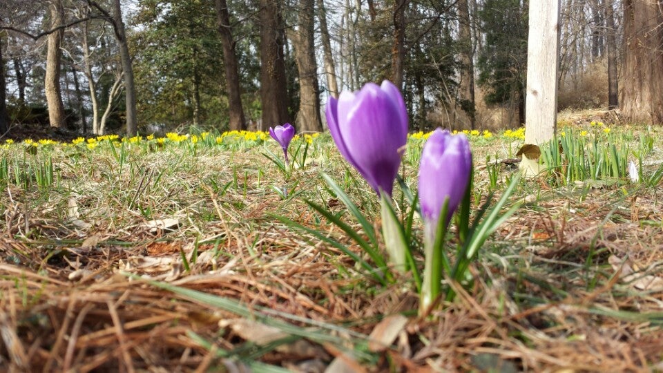 Beverly Shores, IN Map & Directions MapQuest