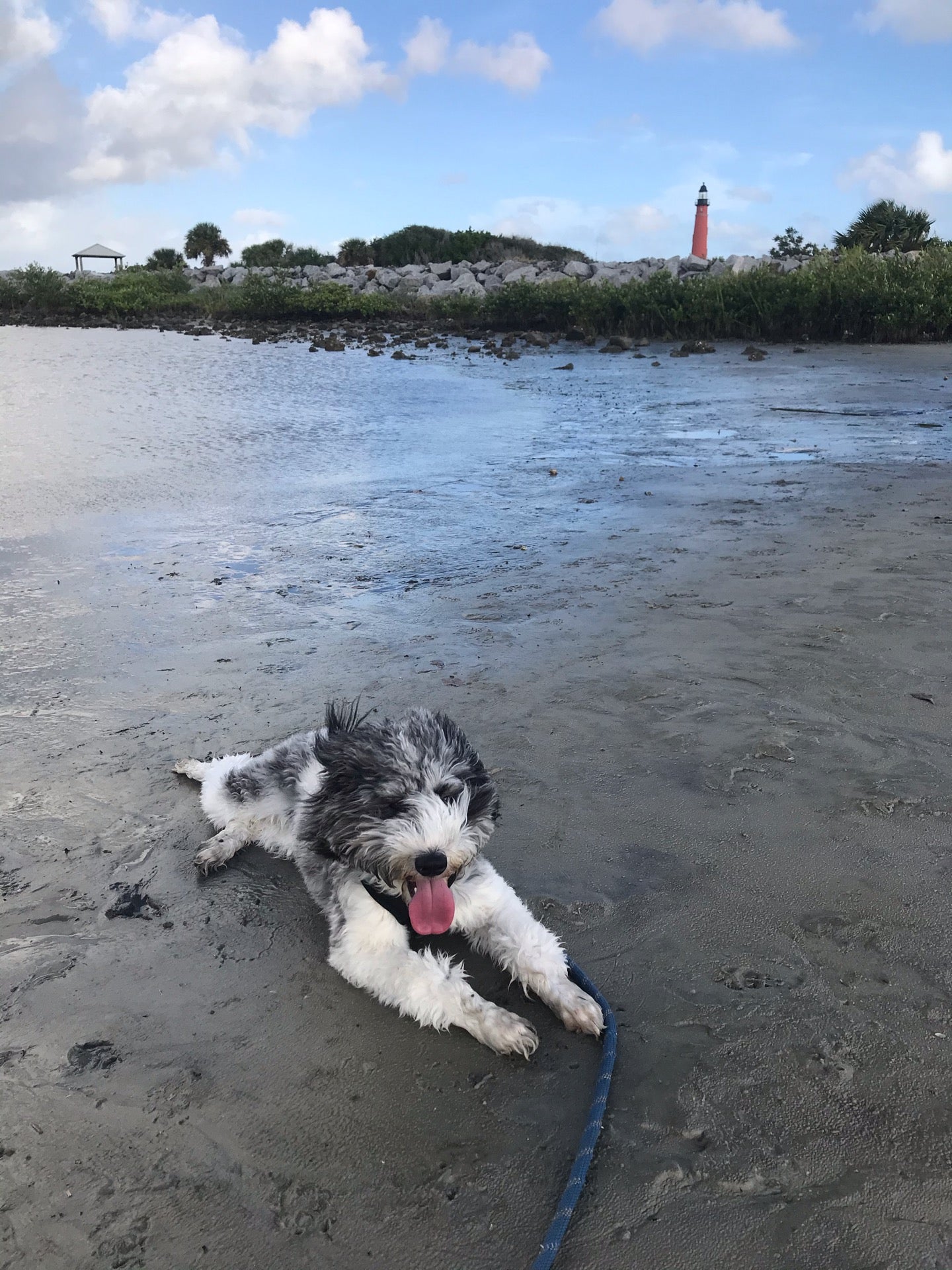 Dog Beach, Ponce Inlet, Peninsula Dr S, Ponce Inlet, FL, Beach MapQuest