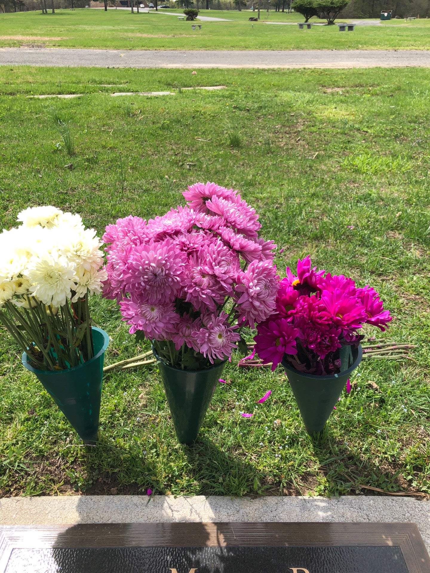 Forest Green Park Cemetery, 535 Texas Rd, NJ, Cemeteries