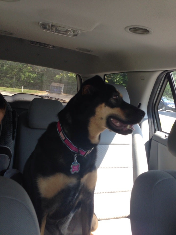 Liberty Elementary School, 10500 Bells Ferry Rd, Canton, GA MapQuest