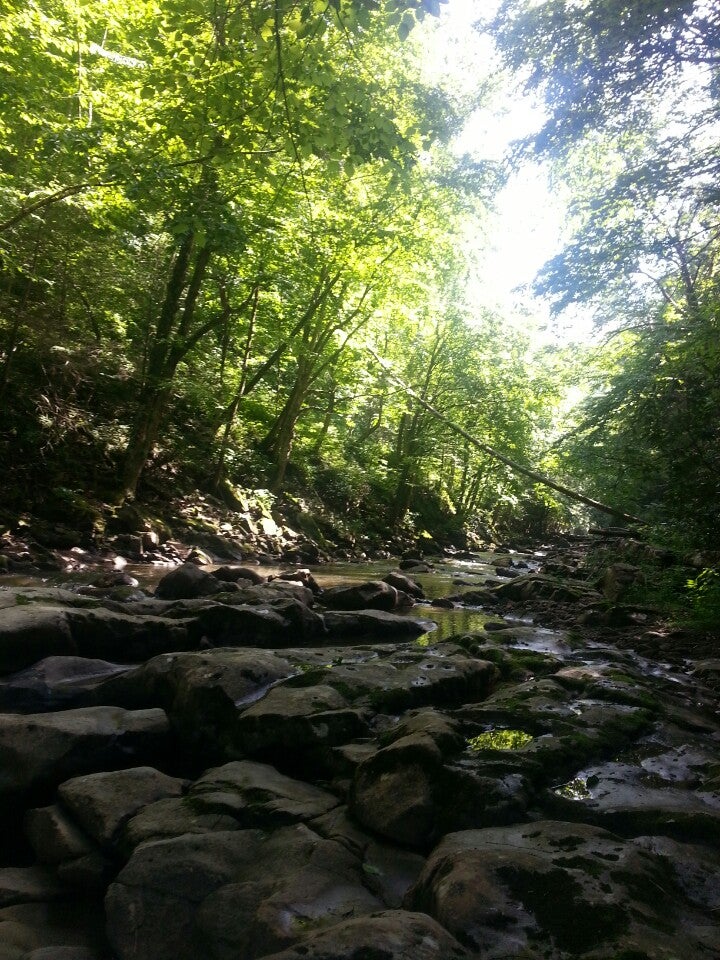 Glade Creek Trail, Shady Spring, WV, Trail MapQuest