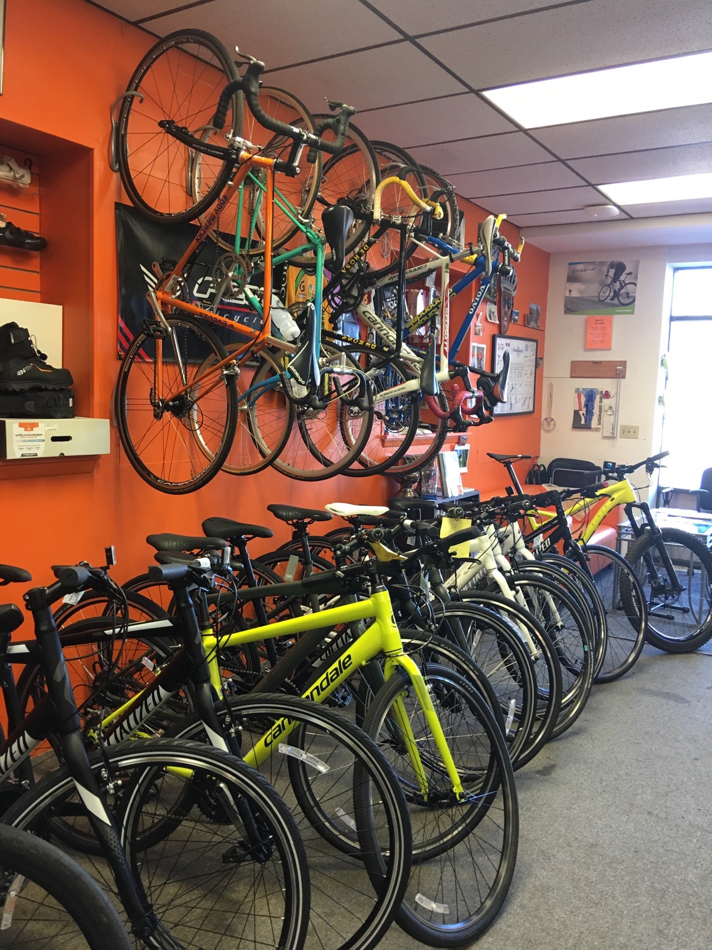 amity bike shop