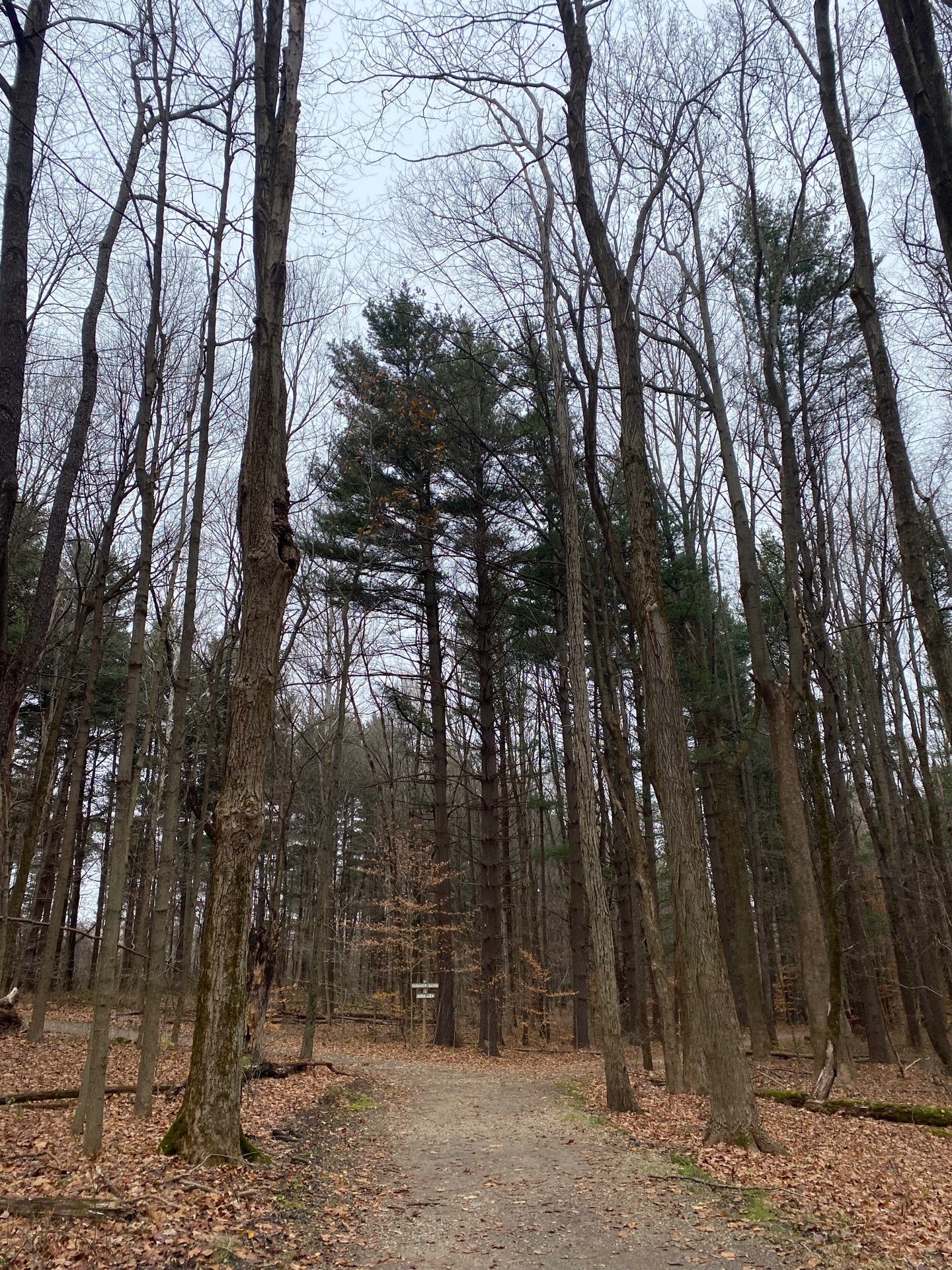 Richfield Heritage Preserve, 4374 Broadview Rd, Richfield, OH - MapQuest