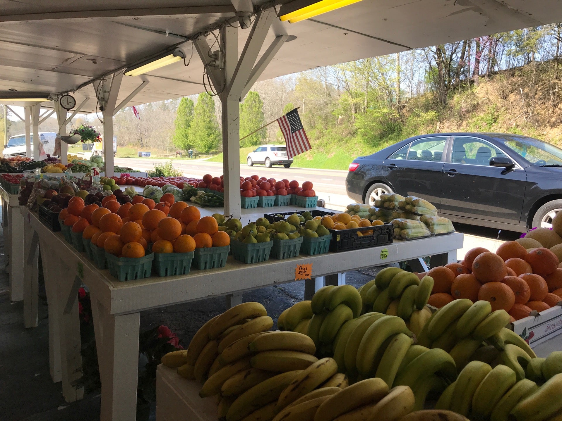 Loveday Garden Center, 8303 Chapman Hwy, Knoxville, TN, Garden Centers