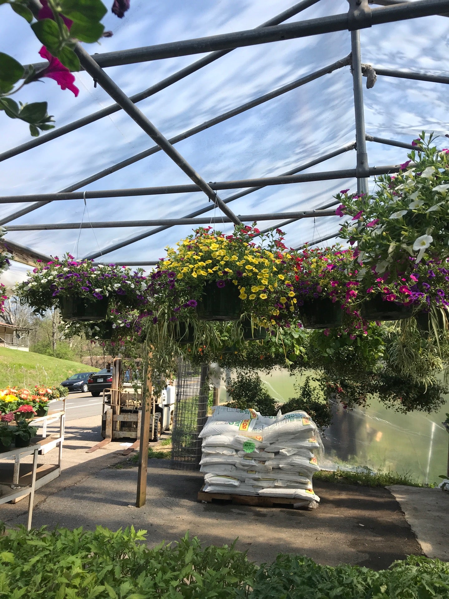 Loveday Garden Center, 8303 Chapman Hwy, Knoxville, TN, Garden Centers