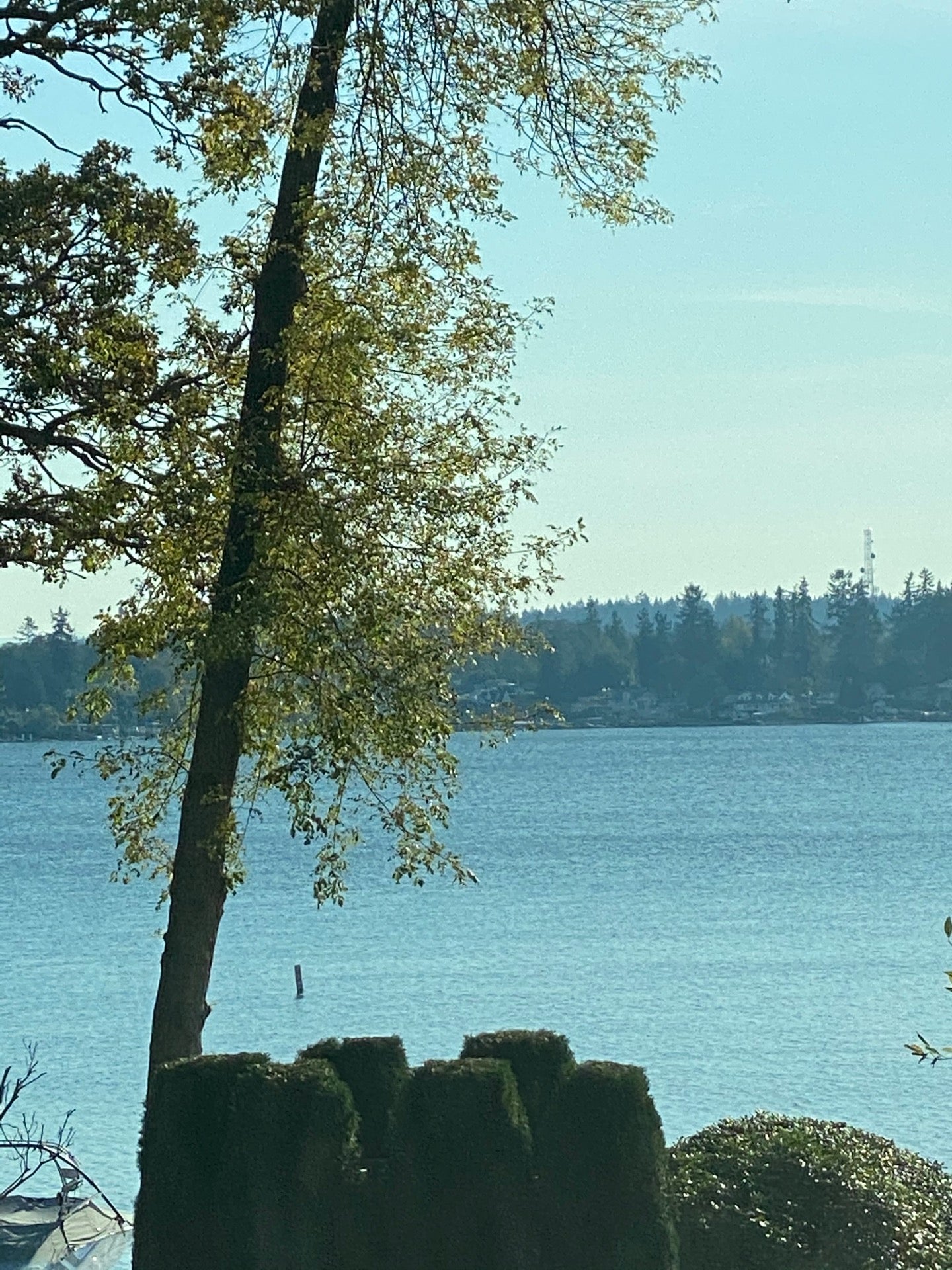 American Lake, Lakewood, WA MapQuest