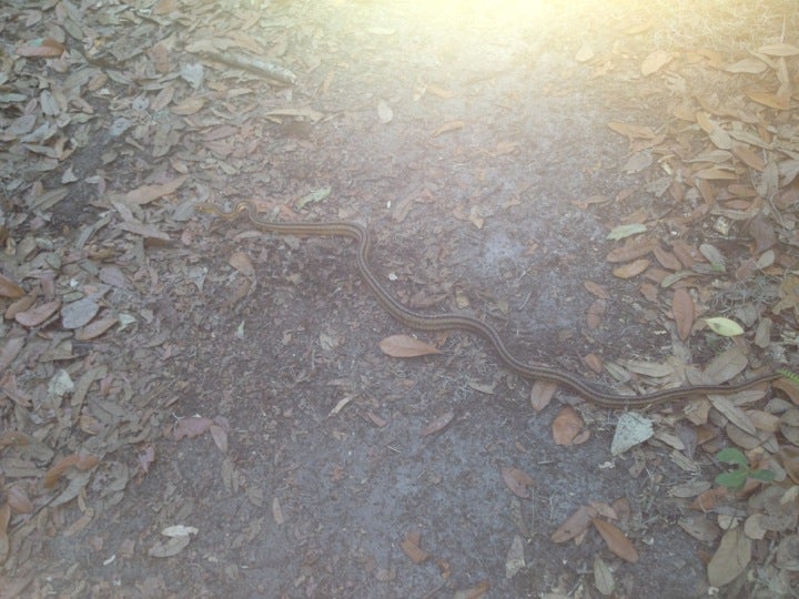 Carter Road Trails, Bartow, FL, Trail MapQuest