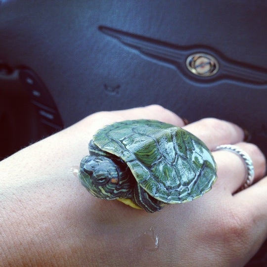 Dover Flea Market, 18 W Blackwell St, Dover, NJ MapQuest