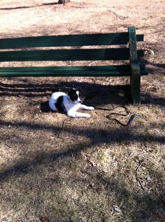 Victory Park, Grove St, Slatington, PA MapQuest