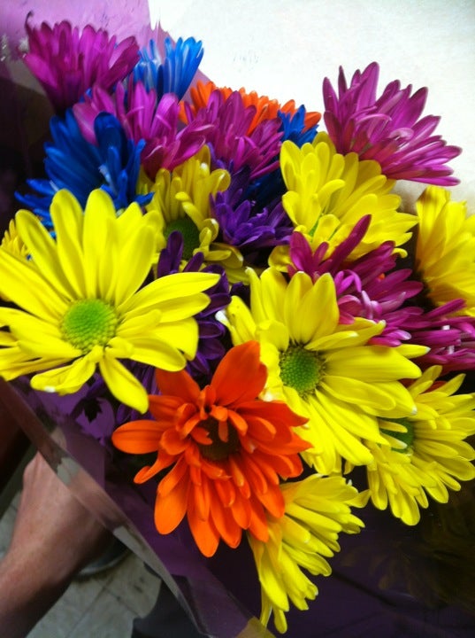 Cedar Bluff, VA Map & Directions MapQuest